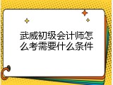 武威初级会计师怎么考需要什么条件