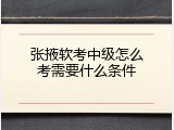 张掖软考中级怎么考需要什么条件