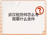 武汉税务师怎么考需要什么条件
