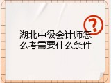 湖北中级会计师怎么考需要什么条件