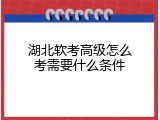 湖北软考高级怎么考需要什么条件