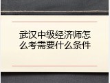 武汉中级经济师怎么考需要什么条件