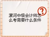 漯河中级会计师怎么考需要什么条件