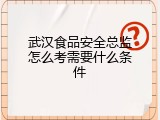 武汉食品安全总监怎么考需要什么条件