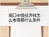 周口中级经济师怎么考需要什么条件