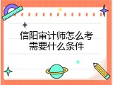 信阳审计师怎么考需要什么条件