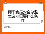 南阳食品安全总监怎么考需要什么条件