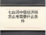 七台河中级经济师怎么考需要什么条件