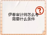 伊春审计师怎么考需要什么条件