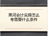 黑河会计实操怎么考需要什么条件