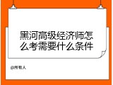 黑河高级经济师怎么考需要什么条件