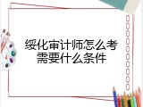 绥化审计师怎么考需要什么条件