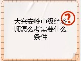 大兴安岭中级经济师怎么考需要什么条件