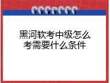 黑河软考中级怎么考需要什么条件