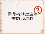 黑河审计师怎么考需要什么条件