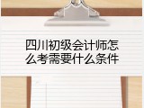 四川初级会计师怎么考需要什么条件