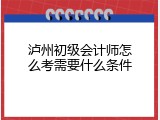 泸州初级会计师怎么考需要什么条件