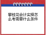 攀枝花会计实操怎么考需要什么条件