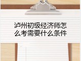 泸州初级经济师怎么考需要什么条件