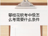 攀枝花软考中级怎么考需要什么条件
