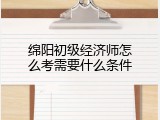 绵阳初级经济师怎么考需要什么条件