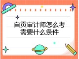 自贡审计师怎么考需要什么条件