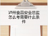 泸州食品安全总监怎么考需要什么条件