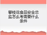 攀枝花食品安全总监怎么考需要什么条件
