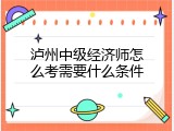 泸州中级经济师怎么考需要什么条件