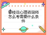 攀枝花心理咨询师怎么考需要什么条件