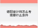 德阳审计师怎么考需要什么条件