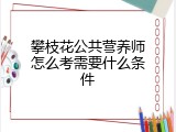 攀枝花公共营养师怎么考需要什么条件