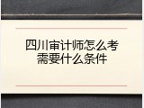 四川审计师怎么考需要什么条件