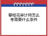 攀枝花审计师怎么考需要什么条件