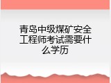 青岛中级煤矿安全工程师考试需要什么学历