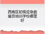 西青区初级应急救援员培训学校哪里好