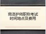 商洛护师职称考试时间地点及费用