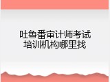 吐鲁番审计师考试培训机构哪里找