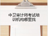 中卫审计师考试培训机构哪里找