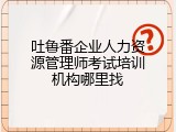 吐鲁番企业人力资源管理师考试培训机构哪里找