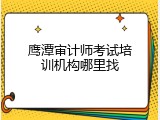鹰潭审计师考试培训机构哪里找