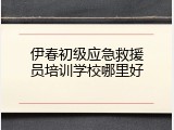 伊春初级应急救援员培训学校哪里好