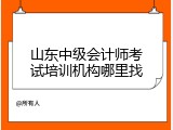山东中级会计师考试培训机构哪里找