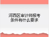 河西区审计师报考条件有什么要求