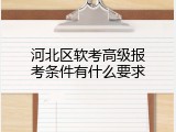 河北区软考高级报考条件有什么要求