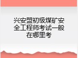 兴安盟初级煤矿安全工程师考试一般在哪里考