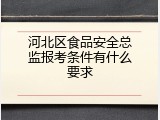 河北区食品安全总监报考条件有什么要求