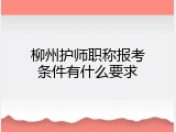 柳州护师职称报考条件有什么要求