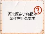 河北区审计师报考条件有什么要求