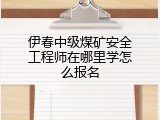 伊春中级煤矿安全工程师在哪里学怎么报名